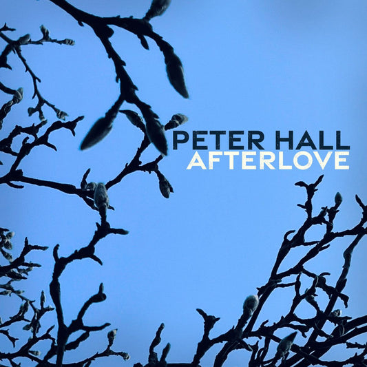 Peter Hall, Afterlife (CD)