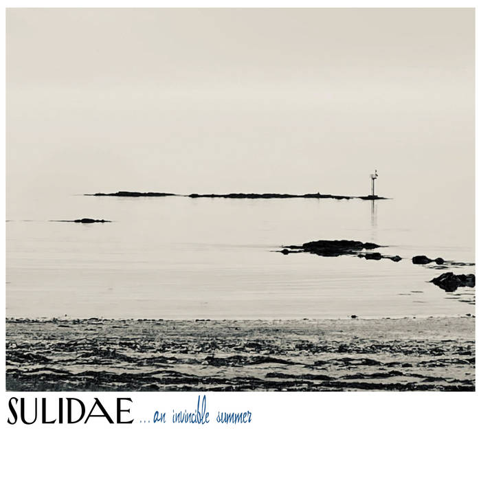 Sulidae, ...an invincible summer (Vinyl)